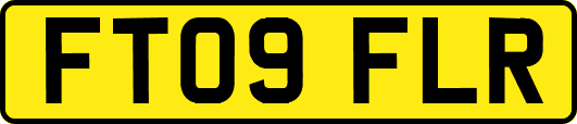 FT09FLR