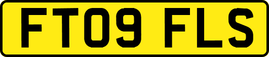FT09FLS