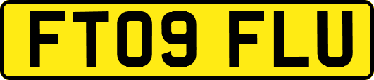 FT09FLU