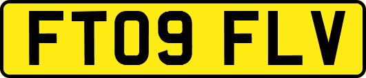 FT09FLV
