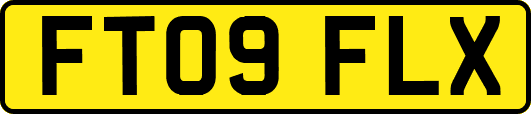 FT09FLX