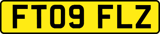 FT09FLZ