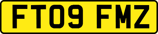 FT09FMZ