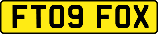 FT09FOX