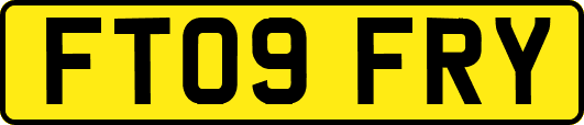 FT09FRY