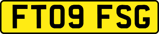 FT09FSG