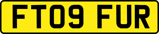 FT09FUR
