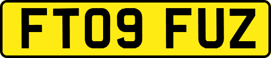 FT09FUZ