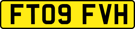 FT09FVH