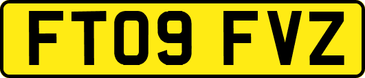 FT09FVZ