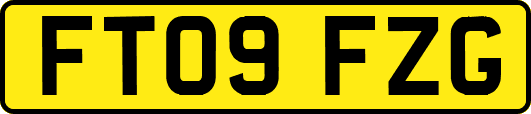 FT09FZG