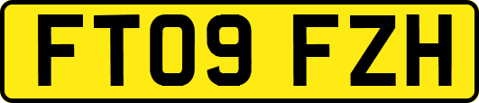 FT09FZH