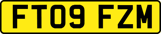 FT09FZM