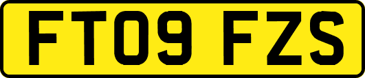 FT09FZS