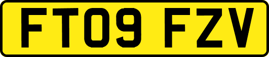 FT09FZV