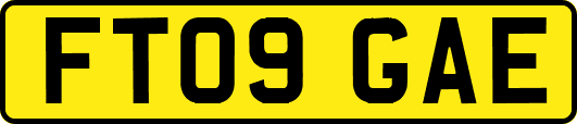 FT09GAE