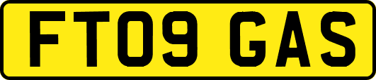 FT09GAS