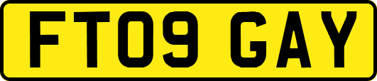 FT09GAY