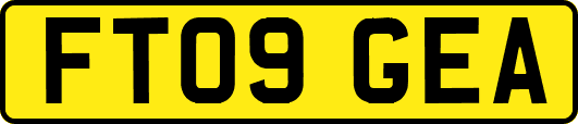 FT09GEA