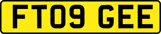 FT09GEE
