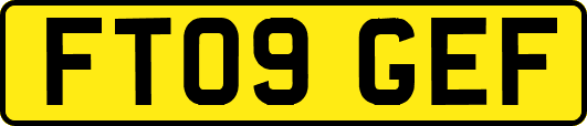 FT09GEF