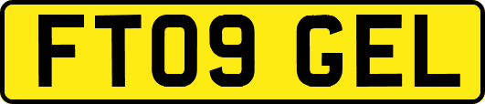 FT09GEL