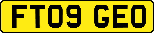 FT09GEO