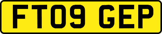 FT09GEP