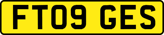 FT09GES