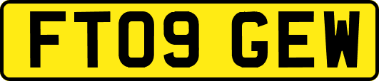 FT09GEW