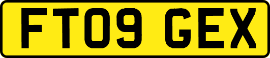 FT09GEX