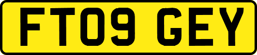 FT09GEY