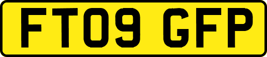FT09GFP