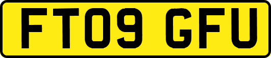 FT09GFU