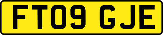 FT09GJE