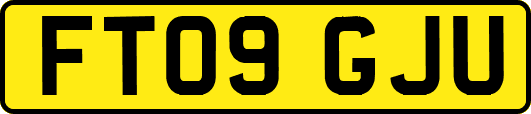 FT09GJU