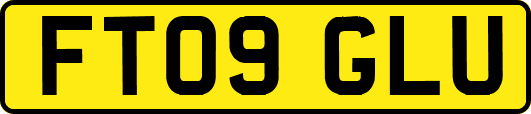 FT09GLU