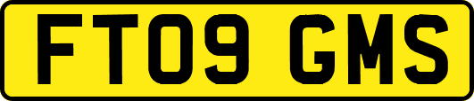 FT09GMS