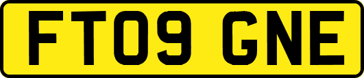 FT09GNE