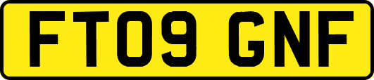 FT09GNF