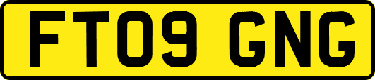 FT09GNG