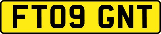 FT09GNT