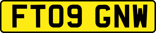 FT09GNW