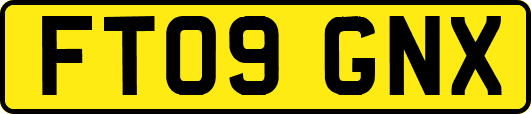 FT09GNX
