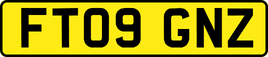 FT09GNZ