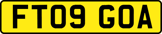 FT09GOA