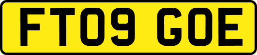 FT09GOE