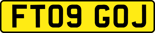 FT09GOJ