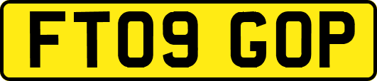 FT09GOP