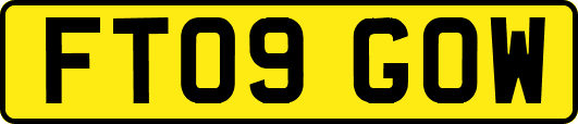 FT09GOW